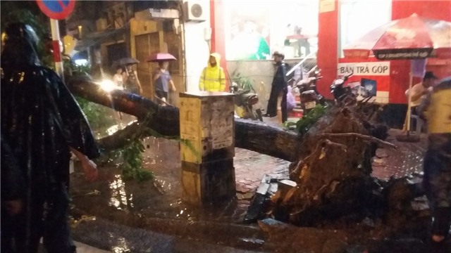 bão số 3, mưa bão, cơn bão số 3