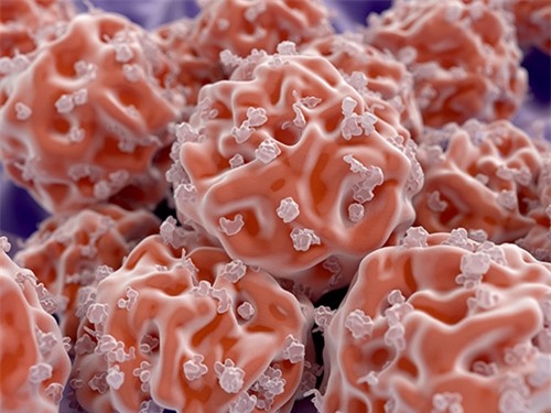 dung vut rang sua boi chung co the cuu mang con ban trong tuong lai - 3