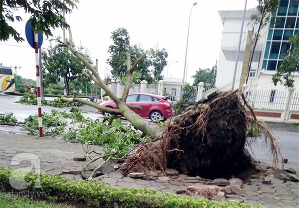 mưa ngập