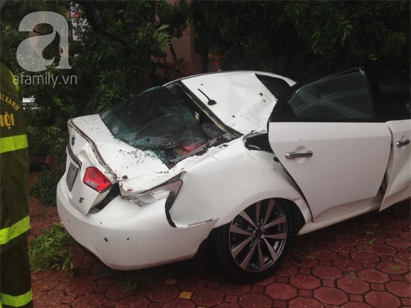 Hà Nội: Bão chưa về cây xanh đã đổ đè bẹp cả xế hộp, chủ xe thoát nạn hy hữu