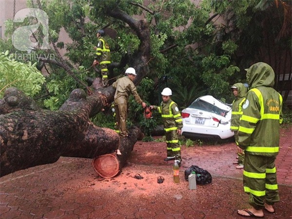 Hà Nội: Bão chưa về cây xanh đã đổ đè bẹp cả xế hộp, chủ xe thoát nạn hy hữu