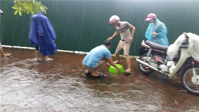 Bão số 3, tin bão, tin bão mới nhất, cơn bão số 3, Hà Nội, ngập lụt