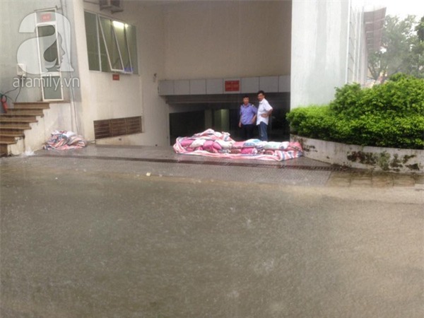 Hà Nội: Dân chung cư cũng khốn khổ với cảnh nhà... ngập nước vì mưa bão