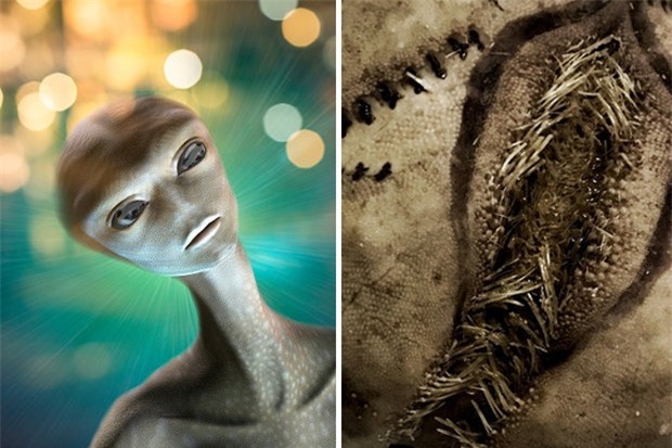 phat hien ‘o trung nguoi ngoai hanh tinh’ dat vao bo chan dong nuoc anh hinh anh 1