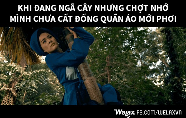 Tấm ngã cây và những câu chuyện chưa bao giờ được kể! - Ảnh 2.