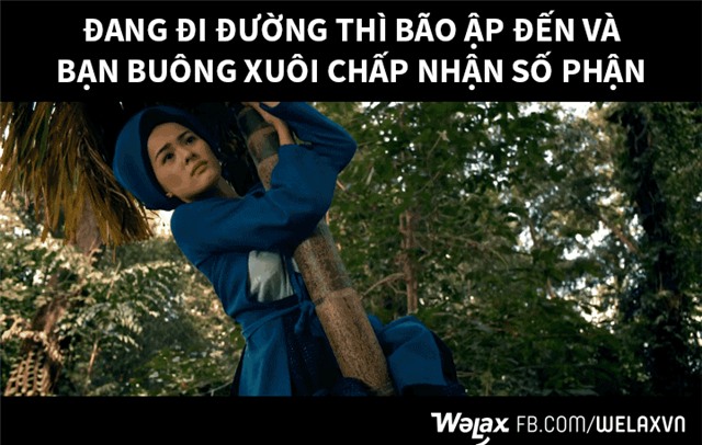 Tấm ngã cây và những câu chuyện chưa bao giờ được kể! - Ảnh 4.