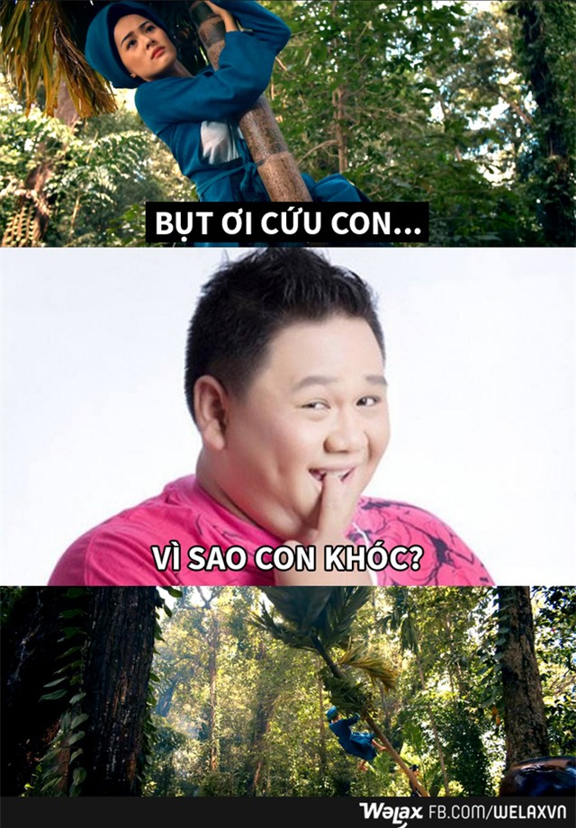 Tấm ngã cây và những câu chuyện chưa bao giờ được kể! - Ảnh 8.