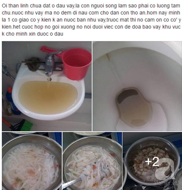mầm non