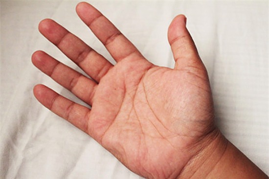 Bàn tay của chủ nhân có vận mệnh tài phú và sự nghiệp thành công - Ảnh 2.