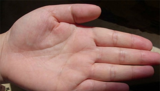 Bàn tay của chủ nhân có vận mệnh tài phú và sự nghiệp thành công - Ảnh 3.