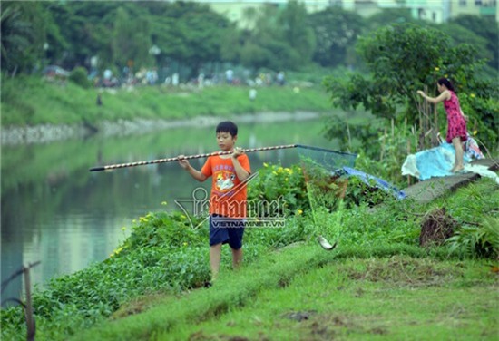bão số 3, câu cá, sông Tô Lịch