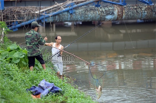 bão số 3, câu cá, sông Tô Lịch
