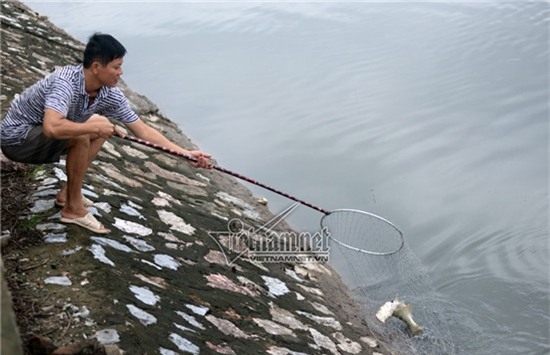 bão số 3, câu cá, sông Tô Lịch