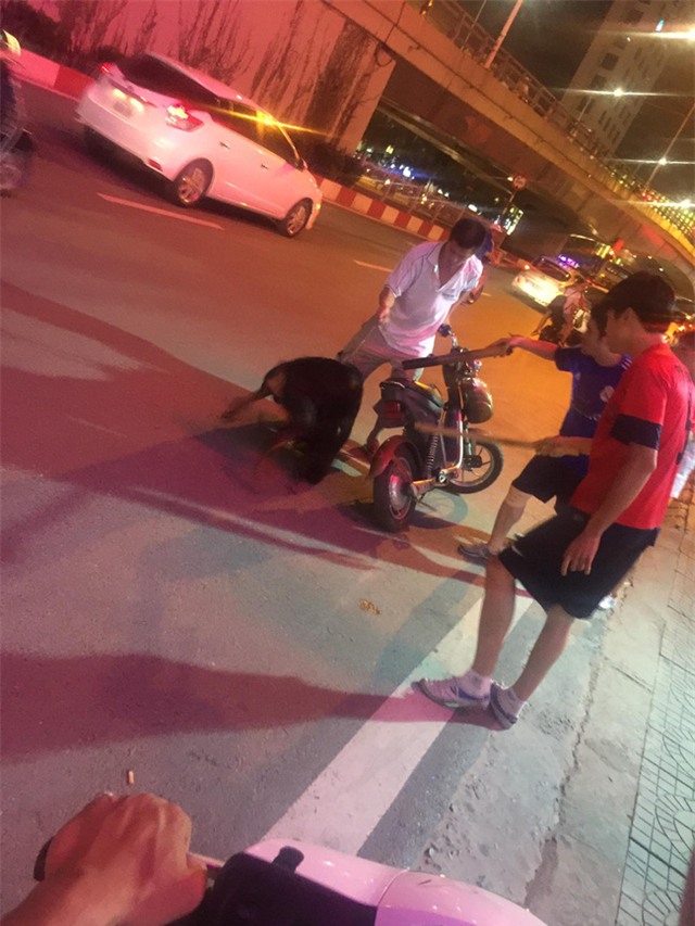 Clip: Người chủ ôm chú chó Doberman bị trọng thương gào thét giữa đường phố Hà Nội - Ảnh 3.