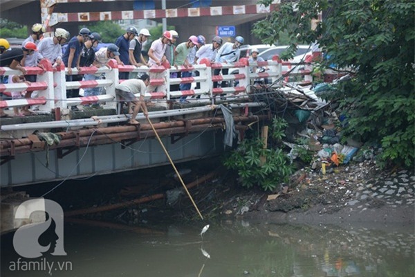 Cao cao bên cửa sổ, có 2 người ngắm mưa... - Ảnh 6.