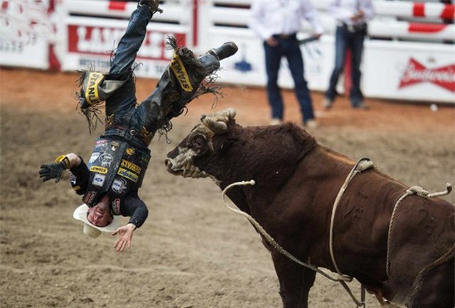 Những hình ảnh chỉ có thể thấy trong thể thao-11