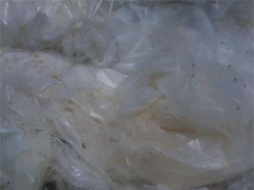 Hiem hoa khon luong tu tui nilon, hop dung thuc an hinh anh 3