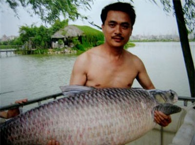 thủy quái, thủy quái hồ tây, săn thủy quái, thủy quái nặng 2,5 tạ