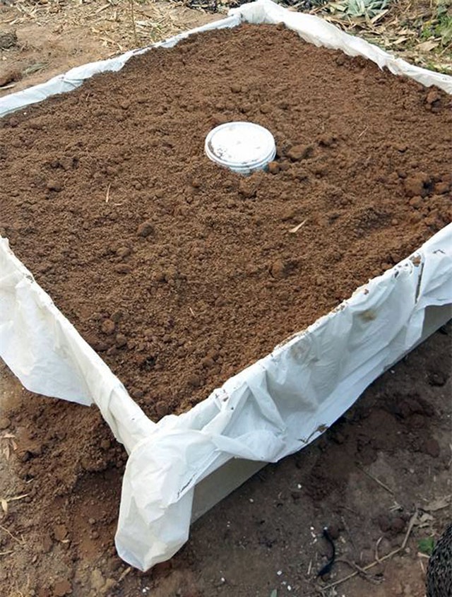 khu vuon 400m² la liet rau xanh, qua sach, ga xin giua thu do hinh anh 26