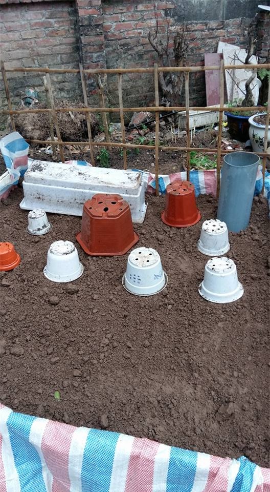 khu vuon 400m² la liet rau xanh, qua sach, ga xin giua thu do hinh anh 27