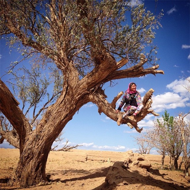 Co gai du lich 22 quoc gia voi 200 USD hinh anh 2