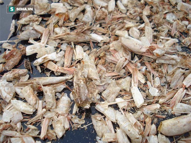 Khi ăn tôm cua, mẹ Việt bỏ đi thứ giá trị nhất  - Ảnh 2.