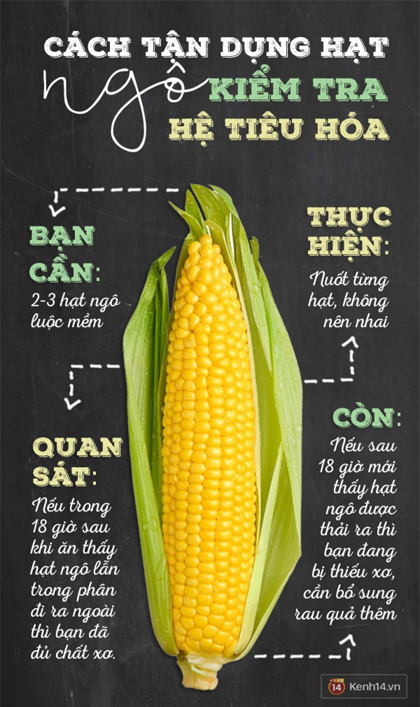Cách kiểm tra xem mình có thiếu chất xơ không chỉ với vài hạt ngô - Ảnh 1.