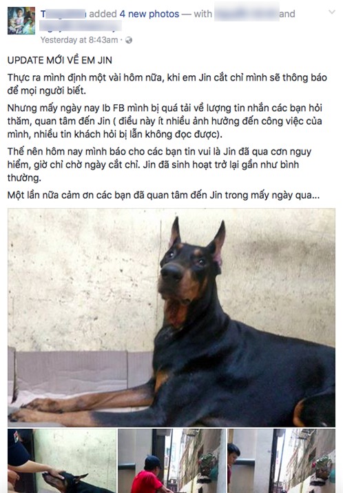 Chú chó bị đâm vào cổ ở phố Nguyễn Chí Thanh (Hà Nội) đã chết - Ảnh 2.