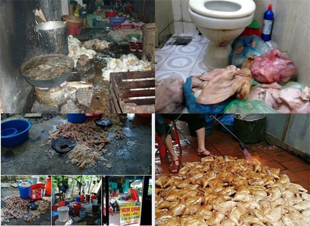 thực phẩm bẩn, thực phẩm sạch, ung thư, mâm cơm hóa chất, người việt giết người việt, ung thư do thực phẩm bẩn