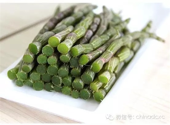 Những thần dược bảo hộ dành cho người bị đau dạ dày - Ảnh 4.