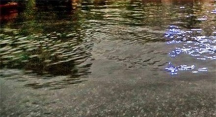 Hai vợ chồng ẩu đả trên mặt sân ngập nước. Ảnh minh họa.