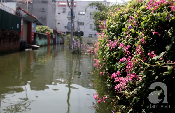 ngập