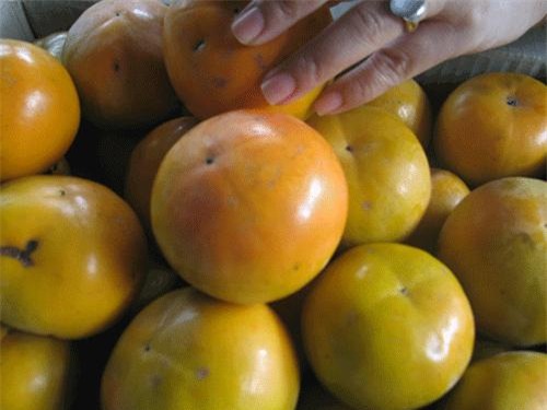 Hồng Đà Lạt có màu vàng cam, không bóng mịn và bắt mắt bằng hồng Trung Quốc - Ảnh: Phan Diệu