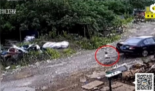 Không quan sát kỹ lưỡng khi lùi xe, nữ tài xế cán qua người cháu trai 2 tuổi - Ảnh 2.