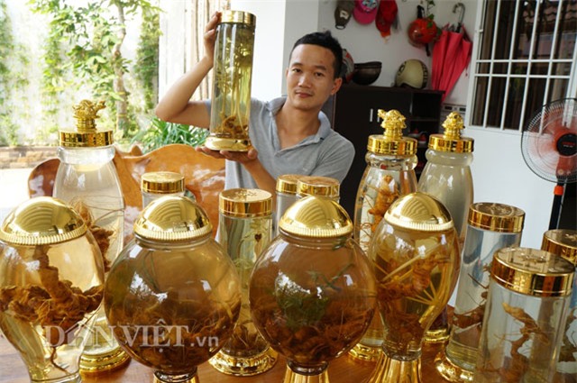 sâm ngọc linh, hầm sâm ngọc linh, sâm ngọc linh ngâm rượu, đại gia quảng nam