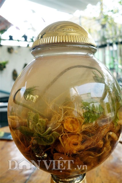 sâm ngọc linh, hầm sâm ngọc linh, sâm ngọc linh ngâm rượu, đại gia quảng nam