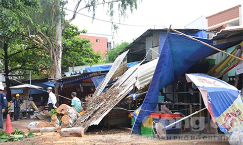 Đang đứng trước cửa tiệm bị cây cổ thụ 30m bật gốc đè tử vong - Ảnh 8.