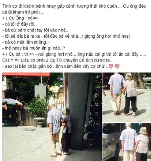 Khi chúng ta già, chỉ mong hạnh phúc như thế này thôi - Ảnh 7.