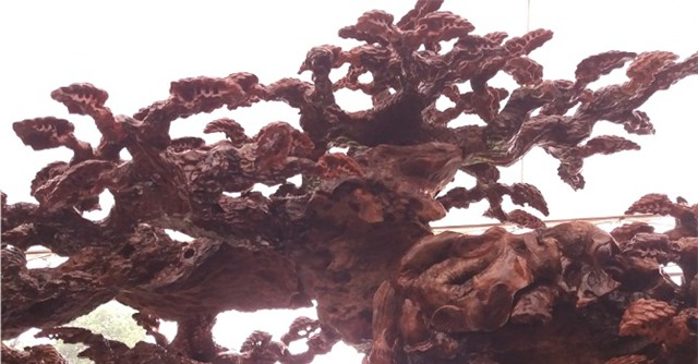 bàn ghế, Hà Nội, tiền tỷ, gỗ nu, gỗ pơ mu, gỗ sưa, gỗ mít, sập gỗ, giường gỗ, đồ gỗ, đại gia, thú chơi