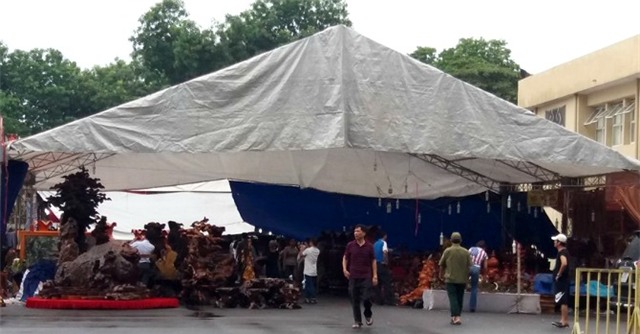 bàn ghế, Hà Nội, tiền tỷ, gỗ nu, gỗ pơ mu, gỗ sưa, gỗ mít, sập gỗ, giường gỗ, đồ gỗ, đại gia, thú chơi