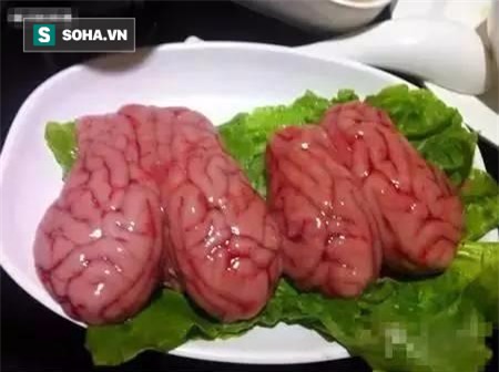 3 bộ phận chứa nhiều chất độc hại của lợn  - Ảnh 2.