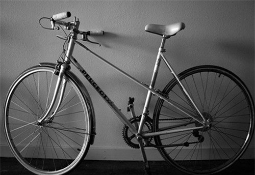 tivi, xe đạp Thống Nhất, mũ cối, tài sản, quạt điện, xe máy, đại gia, thú chơi, Hà Nội