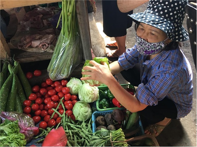 rau xanh, rau xanh tăng giá, rau xanh tăng giá gấp 5 lần, rau xanh tăng giá lạnh, mưa bão, rau thối hỏng, rau củ trung quốc