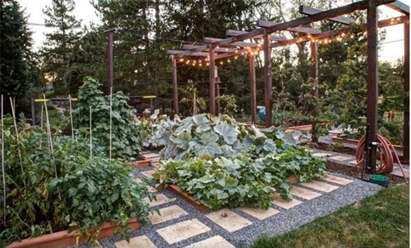 cần biết, trồng rau sạch tại nhà, vườn rau, rau sạch, khu vườn, lưu ý, nông dân, ban công, sân thượng