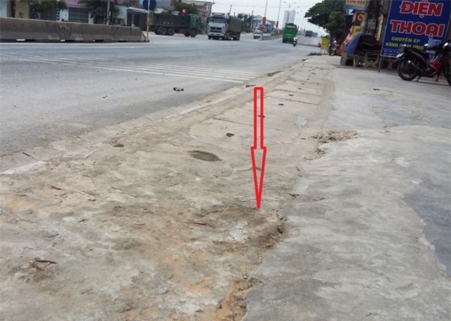 Dan ruot duoi, vay danh nguoi dan ong la mat tu vong hinh anh 2