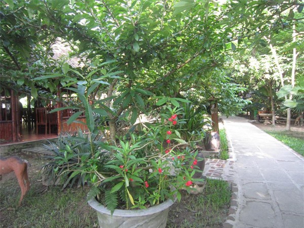 sinh thái