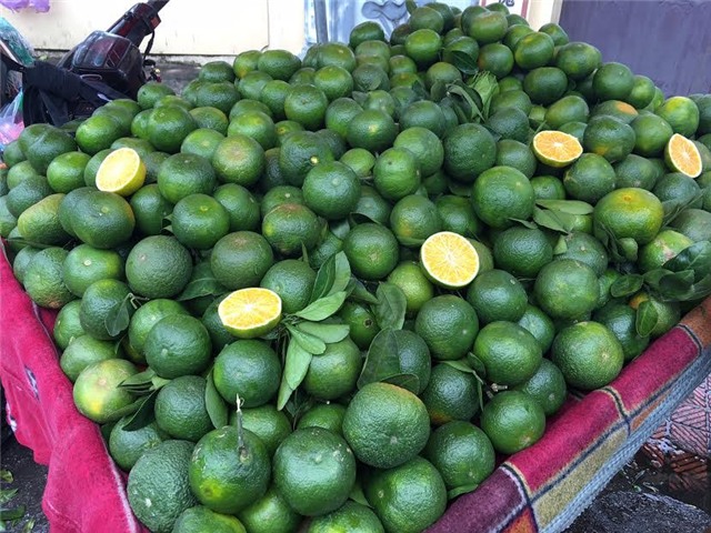 cam trung quốc, táo trung quốc, hồng ngâm trung quốc, nho trung quốc, lê trung quốc, quýt trung quốc, lựu trung quốc, hoa quả trung quốc