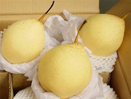 cam trung quốc, táo trung quốc, hồng ngâm trung quốc, nho trung quốc, lê trung quốc, quýt trung quốc, lựu trung quốc, hoa quả trung quốc