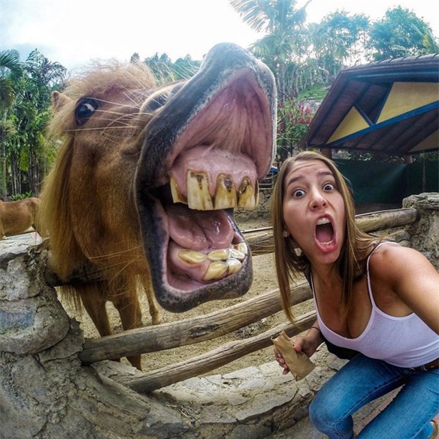 xem anh cuoi cho ngay nghi them vui nao! hinh anh 1