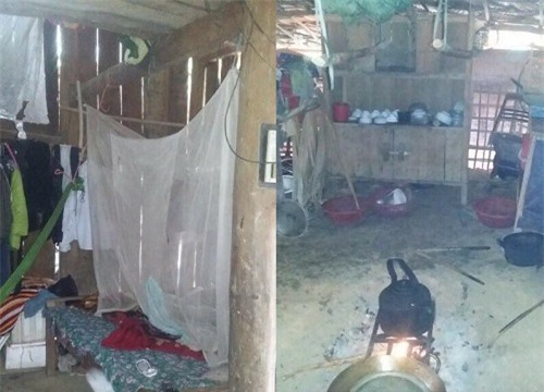 thuong 3 chi em nguoi dao mo coi an com voi muoi trang, di cay lua thue kiem tien - 2